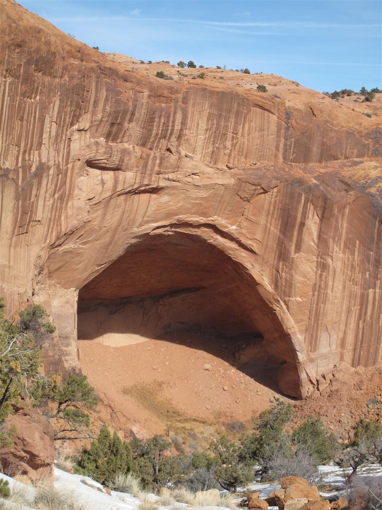 IMG_5467 (Large).JPG IMG_5467 (Large).JPG